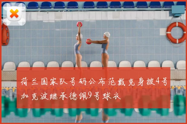荷兰国家队号码公布范戴克身披4号加克波继承德佩9号球衣